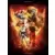 Guides Jeux Vidéos - Street Fighter V Collector\'s Edition Guide