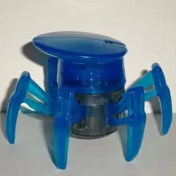 Blue Spider