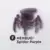 Purple Spider
