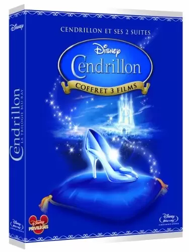 Autres DVD Disney - Une Vie de Princesse + Le sortilège de Cendrillon