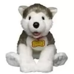 Husky