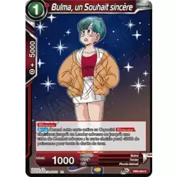 Bulma, un Souhait sincère