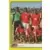 Equipe Namibie - Puzzle 1 / 2
