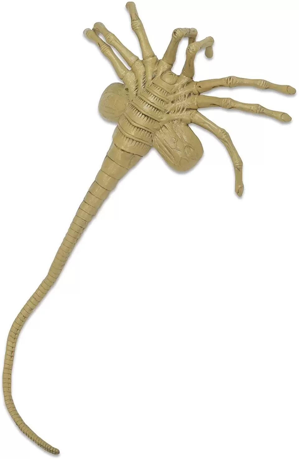 NECA - Aliens - Facehugger life size