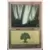 Forêt Foil