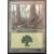 Forêt Foil
