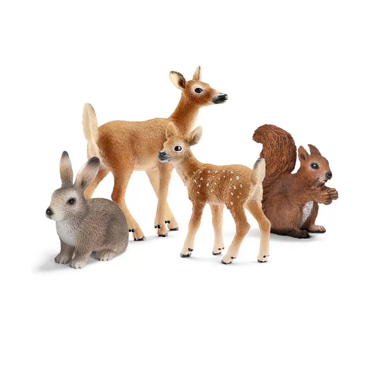 Wild Life - Woodland animals