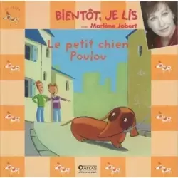 Le petit chien poulou