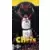Chris Gatling