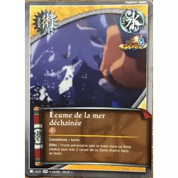 Écume de la mer déchainée