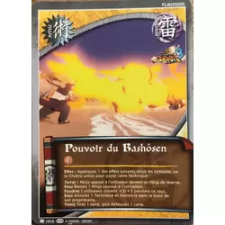 Pouvoir du Bashôsen