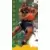 Isaiah Rider CC