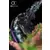 Oniri Creations - UFO Robot Grendizer Premium Statue