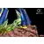 Oniri Creations - UFO Robot Grendizer Premium Statue