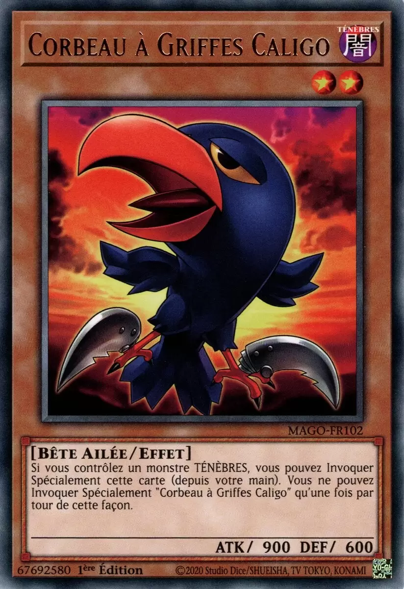 Or Maximum MAGO - Corbeau à Griffes Caligo