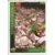 1993-94 Upper D.E.C.K - NBA Basketball - Shawn Kemp