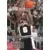 Avery Johnson