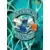Charlotte Hornets