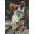 Fleer 1996-1997 Europe - Glen Rice