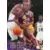 Nick Van Exel