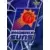 Phoenix Suns