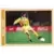 SuperFoot 99-2000 - Nestor Fabbri - Défenseur