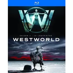 Westworld - saison 1 : Le labyrinthe saison 2 : La porte