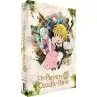 Seven Deadly Sins-Intégrale Saison 1 (Coffret 4 DVD)