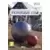 Petanque Pro