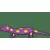 Meme -Motivational Lizard (2FT)
