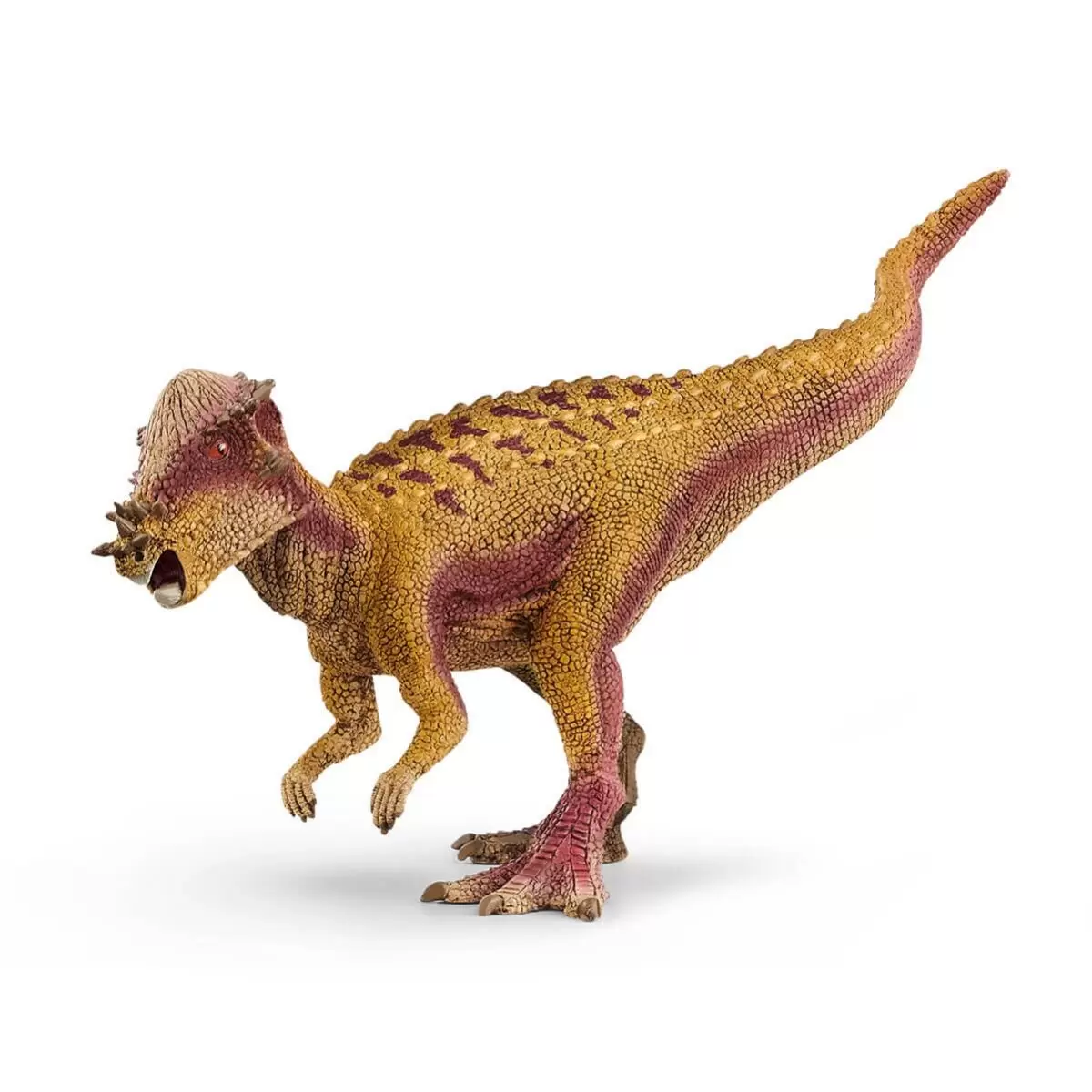 Dinosaurs - Pachycéphalosaure