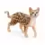 Farm World - Chat Bengal