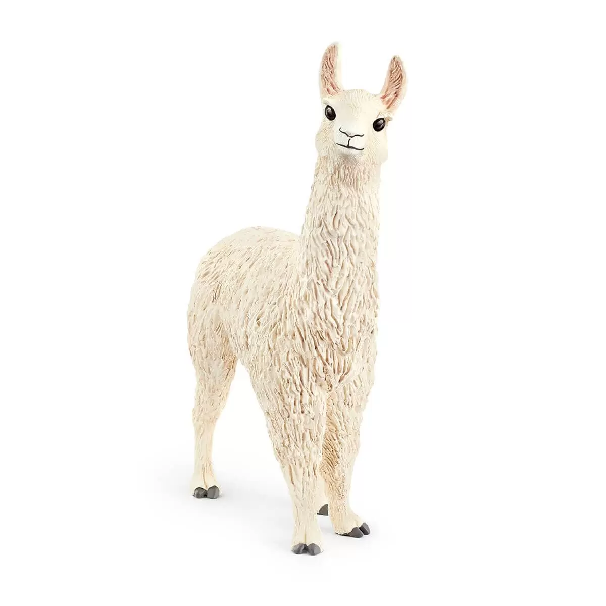 Farm World - Lama