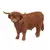 Taureau highland