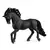Etalon Pure race espagnole