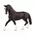 Horse Club - Jument Hanovre morelle