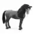 Horse Club - Jument Pure race espagnole