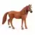 Ponette de selle allemande