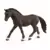 Horse Club - Poney de selle allemand