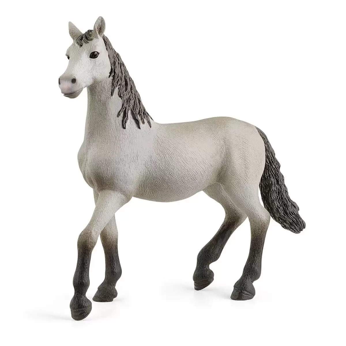 Horse Club - Poulain Pure race espagnole