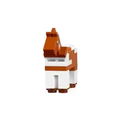 Brown And White Horse