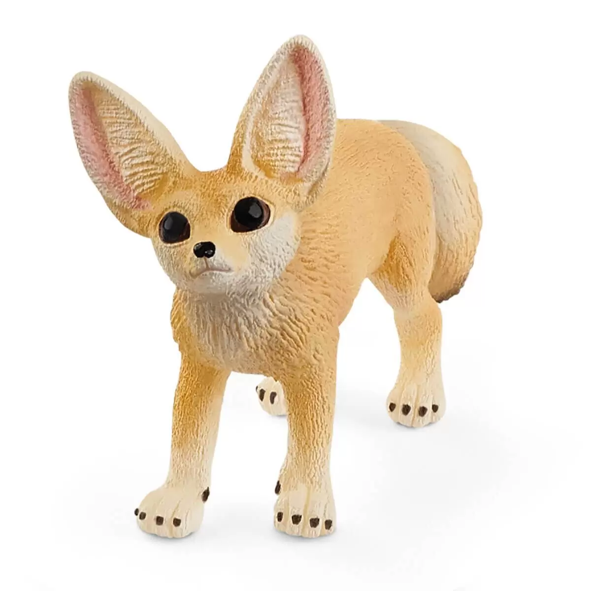 Wild Life - Fennec