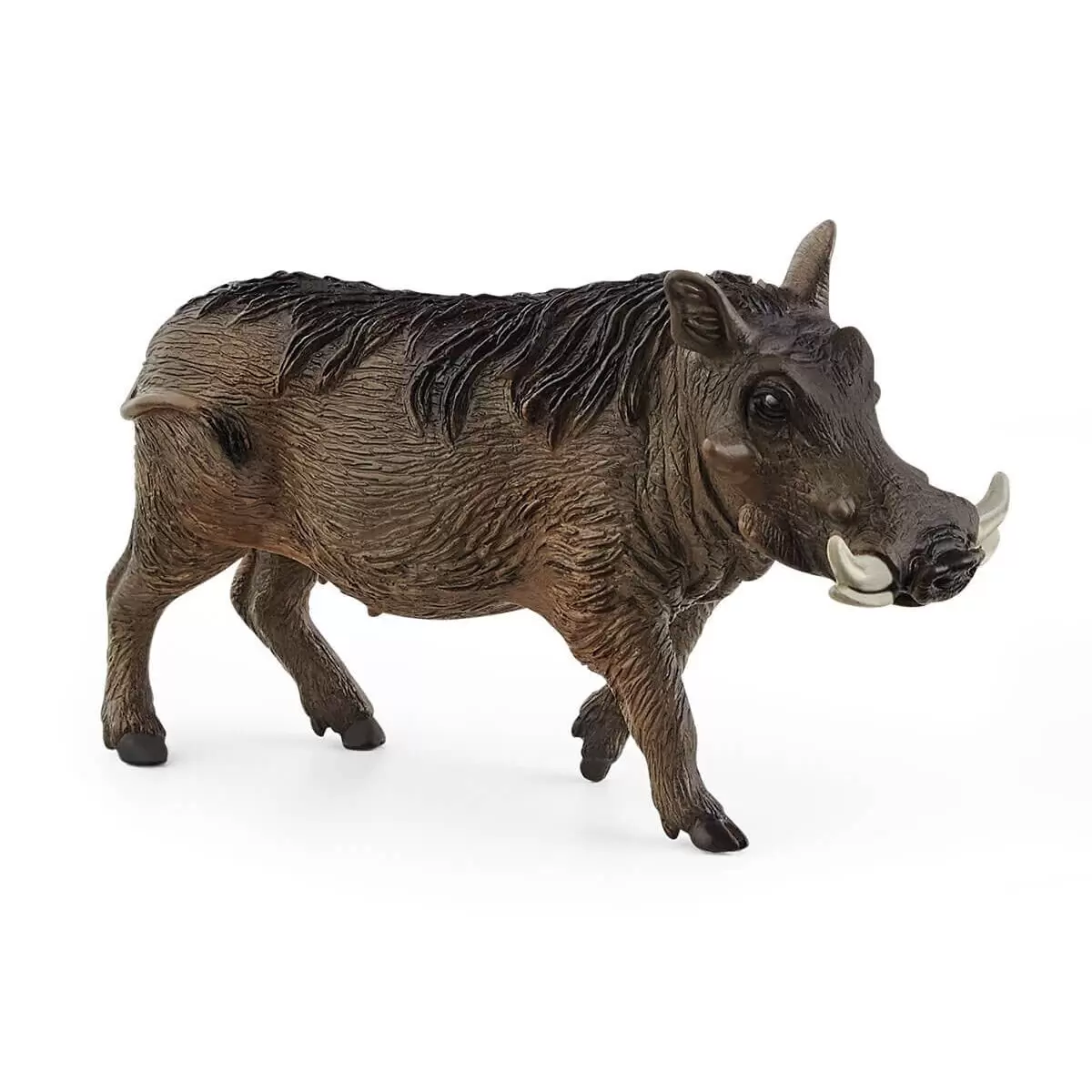 Wild Life - Phacochère