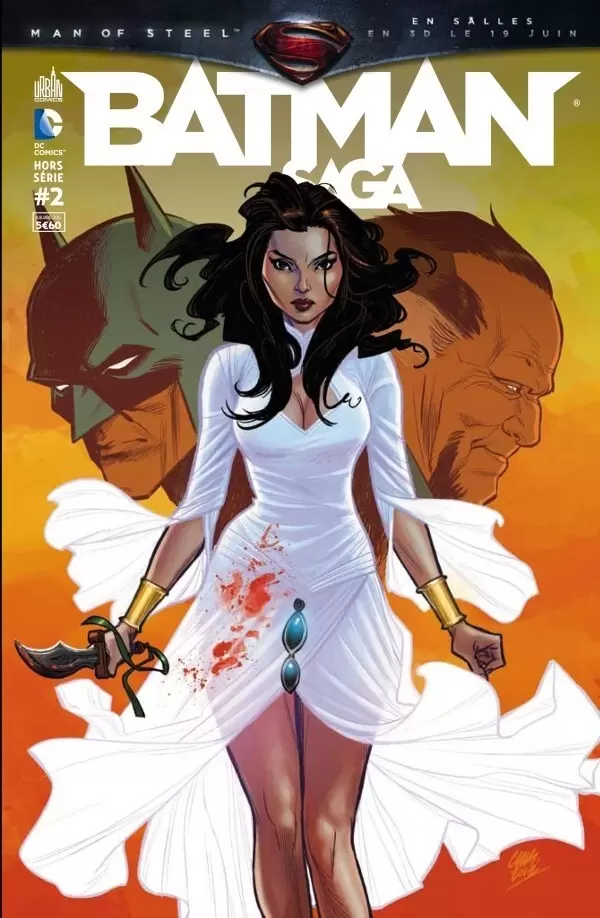 Batman Saga - Batman Incorporated