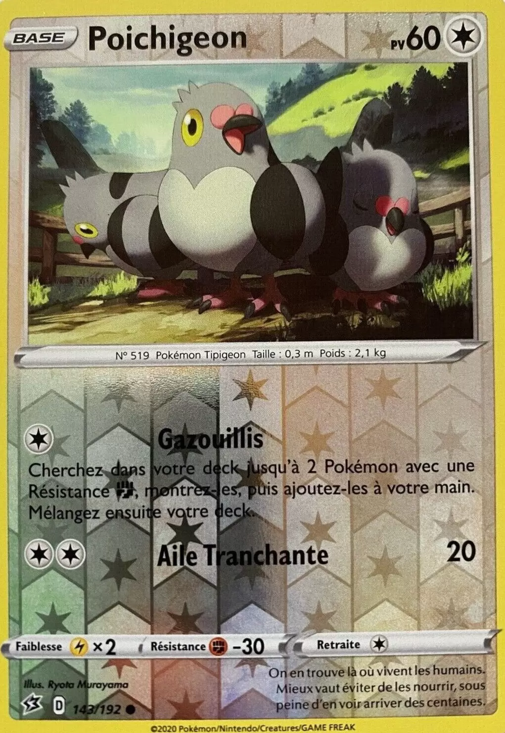 Clash des Rebelles - Poichigeon Reverse