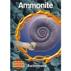 Ammonite