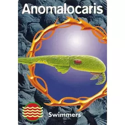 Anomalocaris