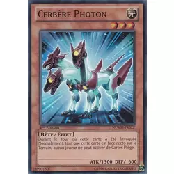 Cerbère Photon