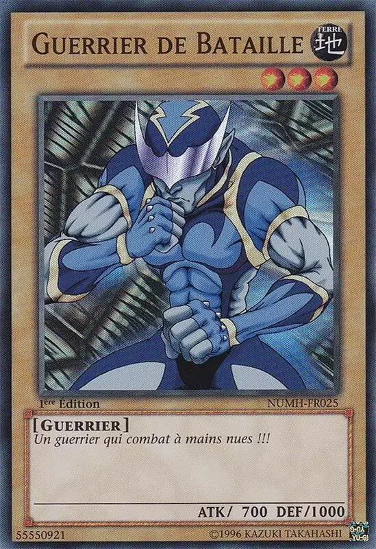Chasseurs de Numéros NUMH - Guerrier de Bataille
