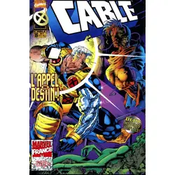 Cable 16